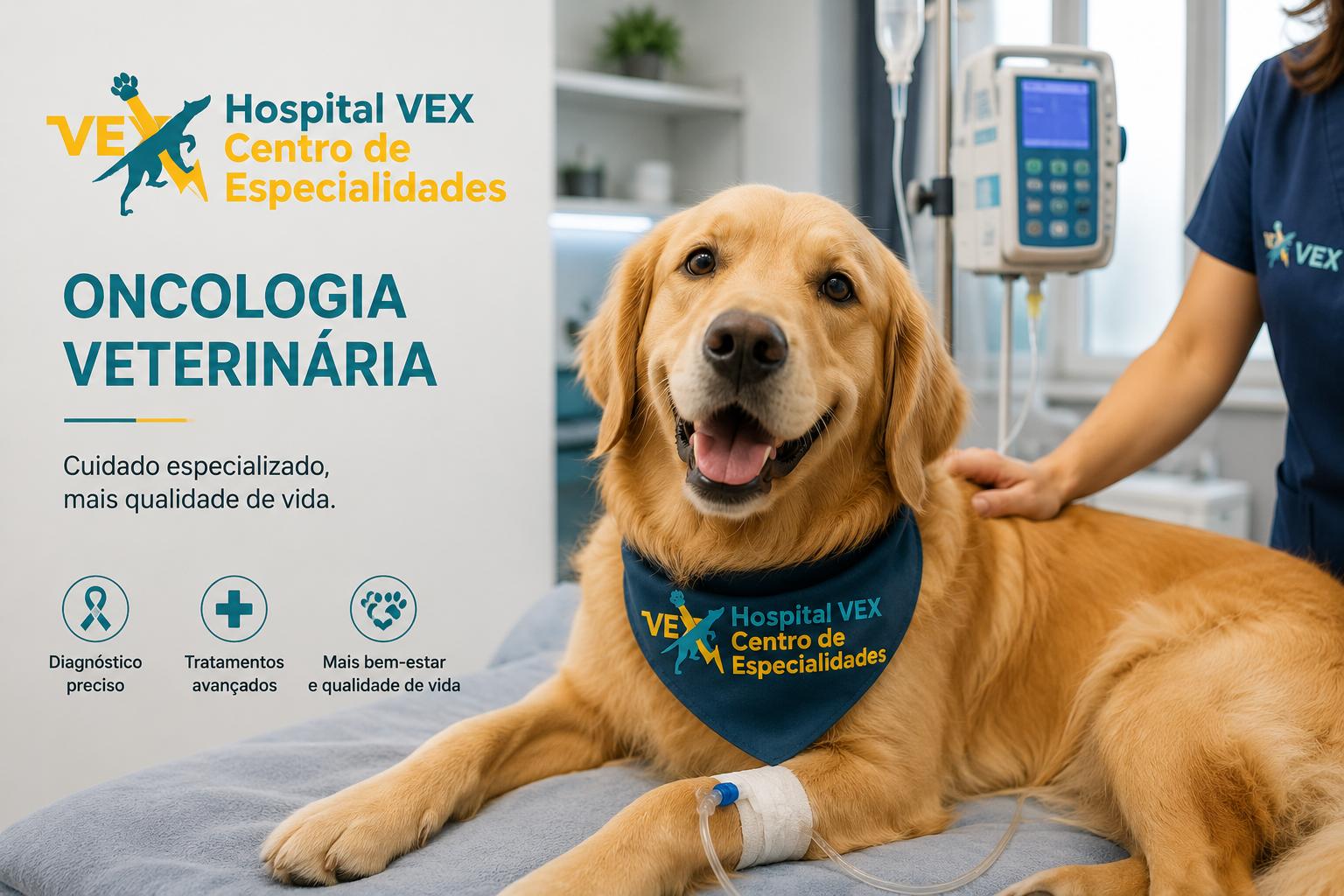 Oncologia Veterinária no VEX Hospital