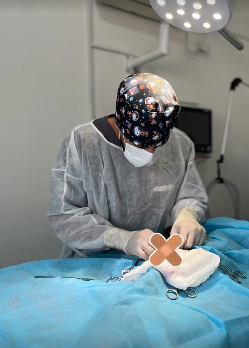Ortopedia Veterinária no VEX Hospital