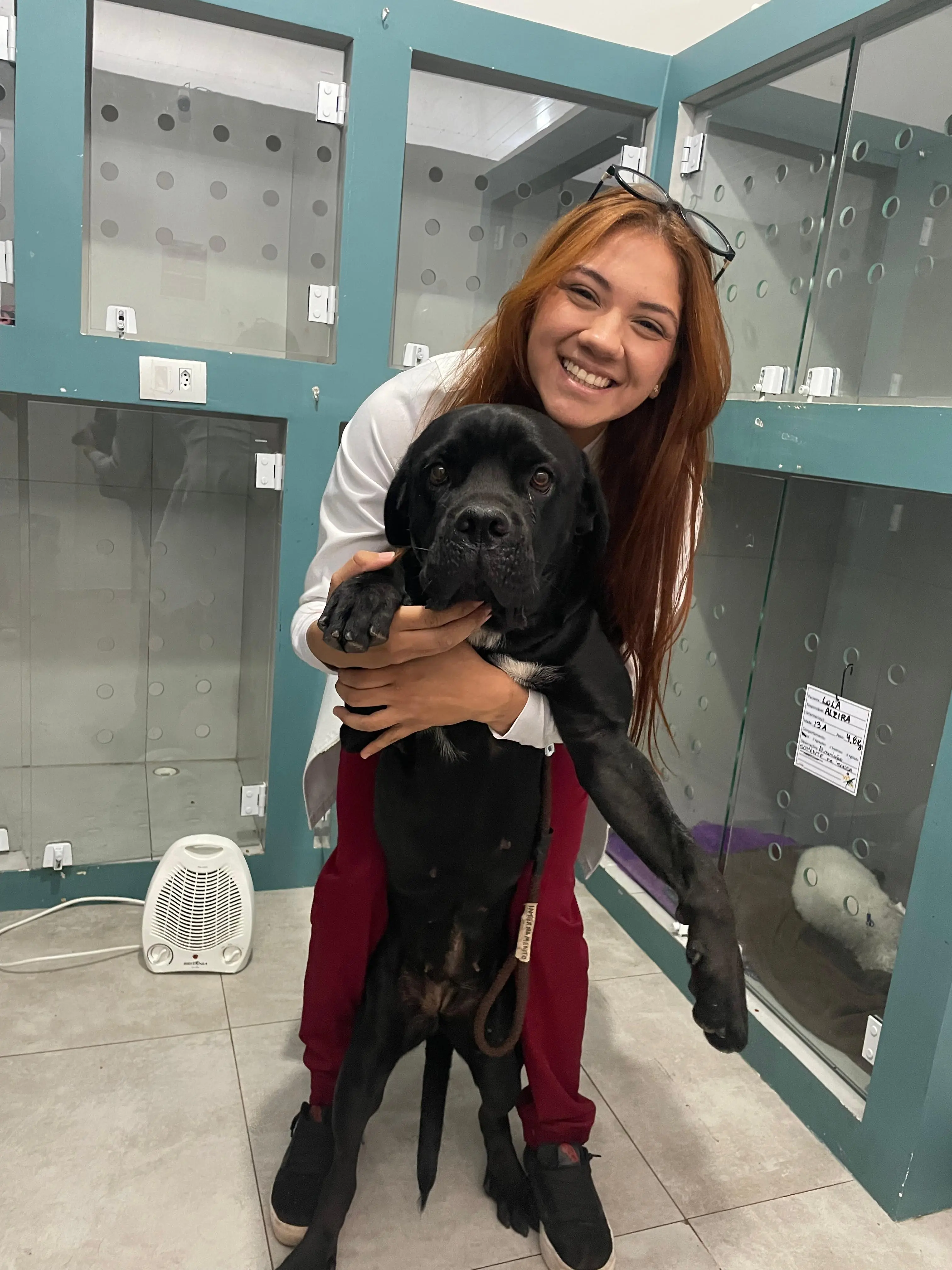 Enfermagem Veterinária no VEX Hospital