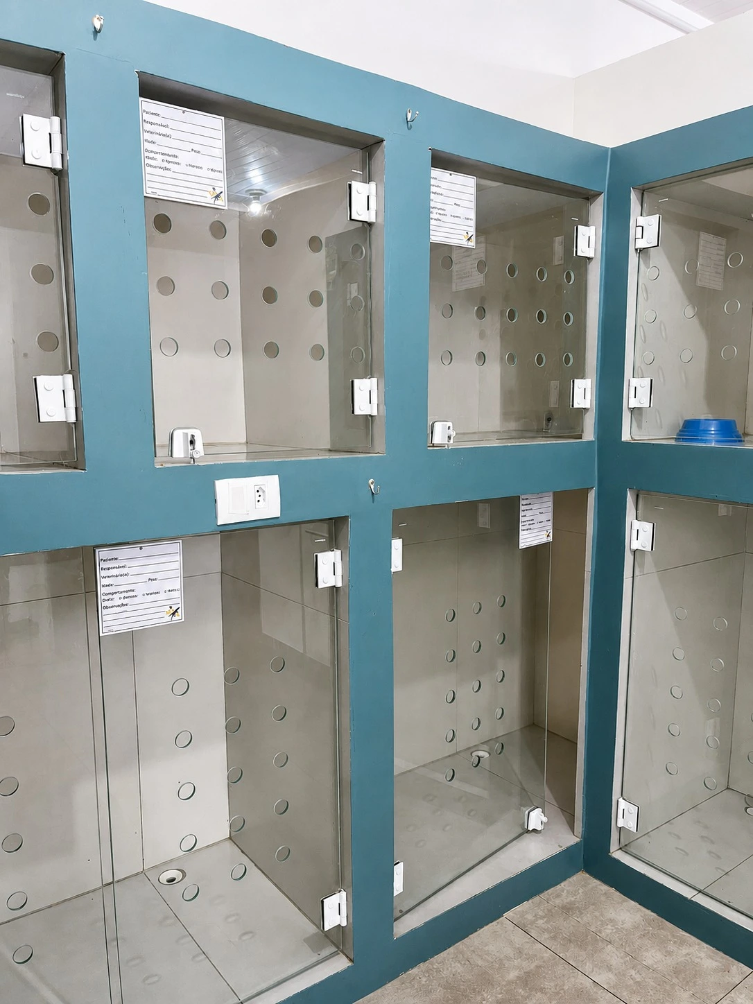 Internação veterinária